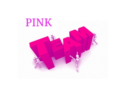 Team Pink.jpg